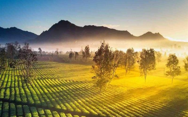 KHÁM PHÁ ĐẠI NGÀN TÂY NGUYÊN HÙNG VĨ 4 NGÀY 3 ĐÊM