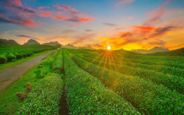Liên Tuyến 2 Vòng Cung Tây Bắc 5N4Đ: Mù Cang Chải - Sapa - Lai Châu - Điện Biên - Mộc Châu - Mai Châu