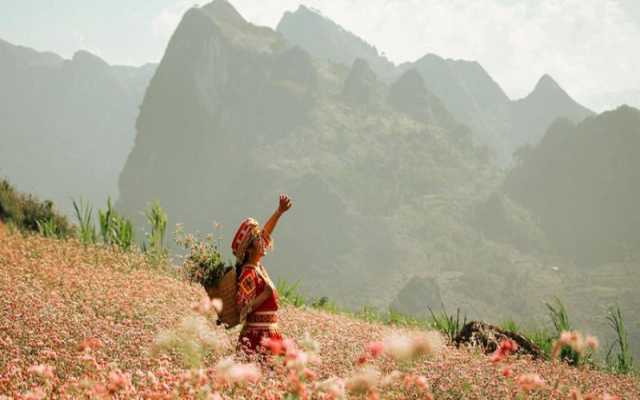 TOUR DU LỊCH HÀ GIANG 3 NGÀY 2 ĐÊM