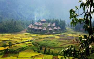 Mai Châu - Pù Luông - Mùa Lúa Chín 2 ngày 1 đêm