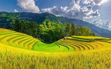 Tour Du Lịch Tây Bắc Mùa Thu - Cung Đường Săn Ảnh 5 Ngày