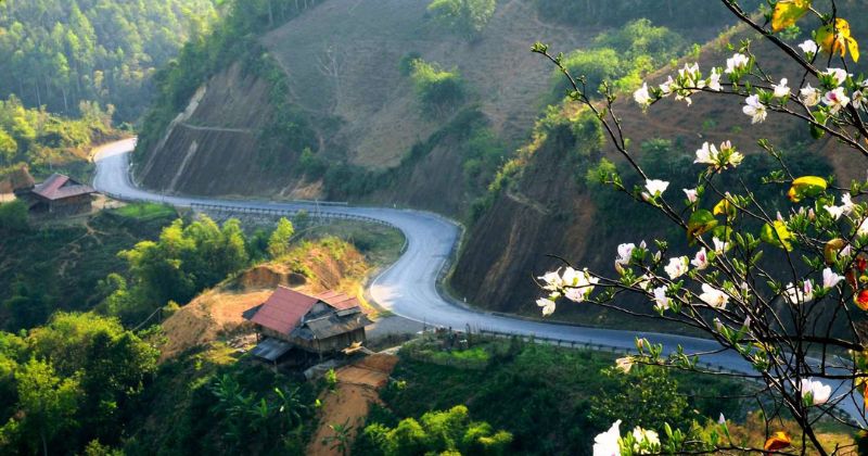 Đường đ&egrave;o Điện Bi&ecirc;n