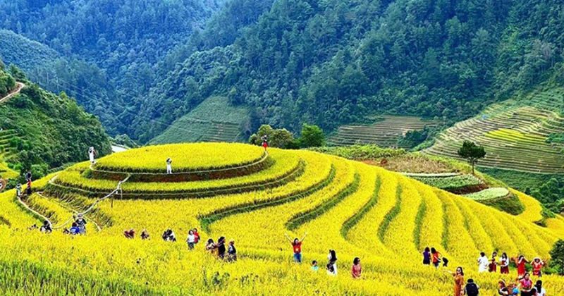 Ruộng bậc thang