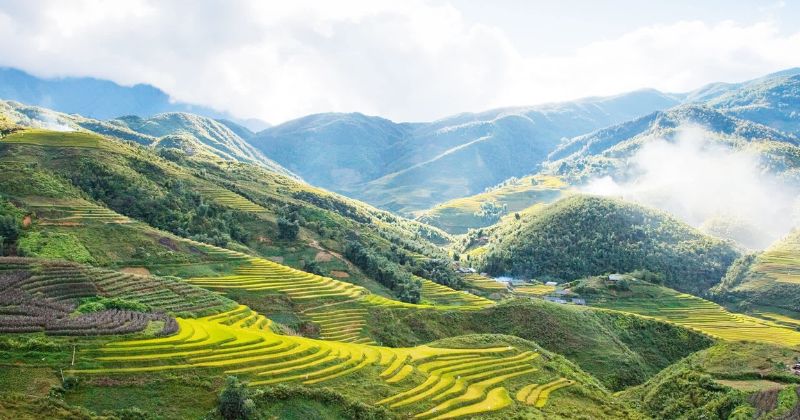 ruộng bậc thang