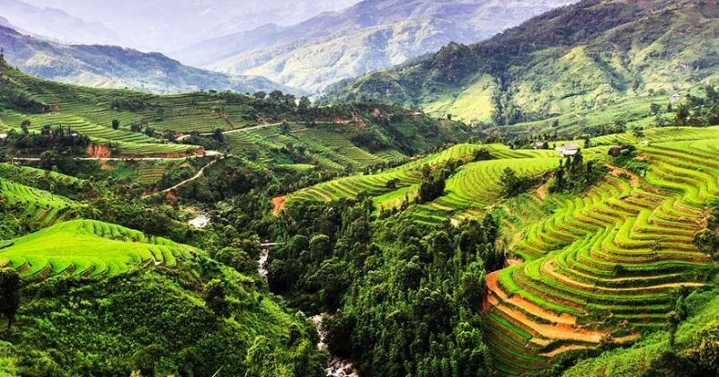 T&acirc;y Nguy&ecirc;n