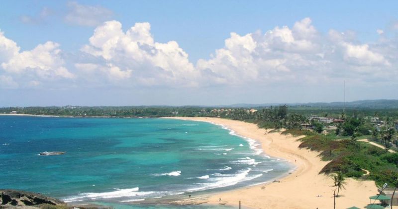 Biển Tr&agrave; Cổ (M&oacute;ng C&aacute;i)