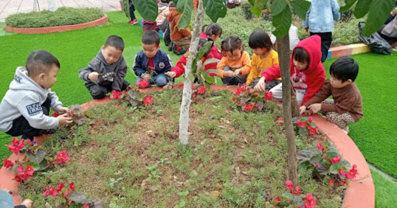 Trồng c&acirc;y đơn giản hoặc l&agrave;m vườn mini