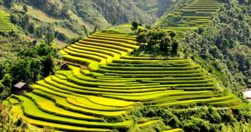 T&uacute; Lệ